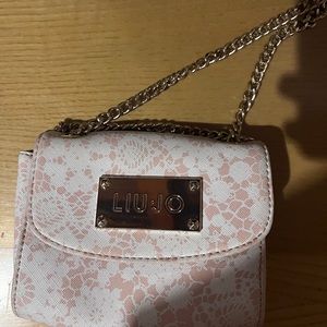 Liu Jo clutch bag (new)
